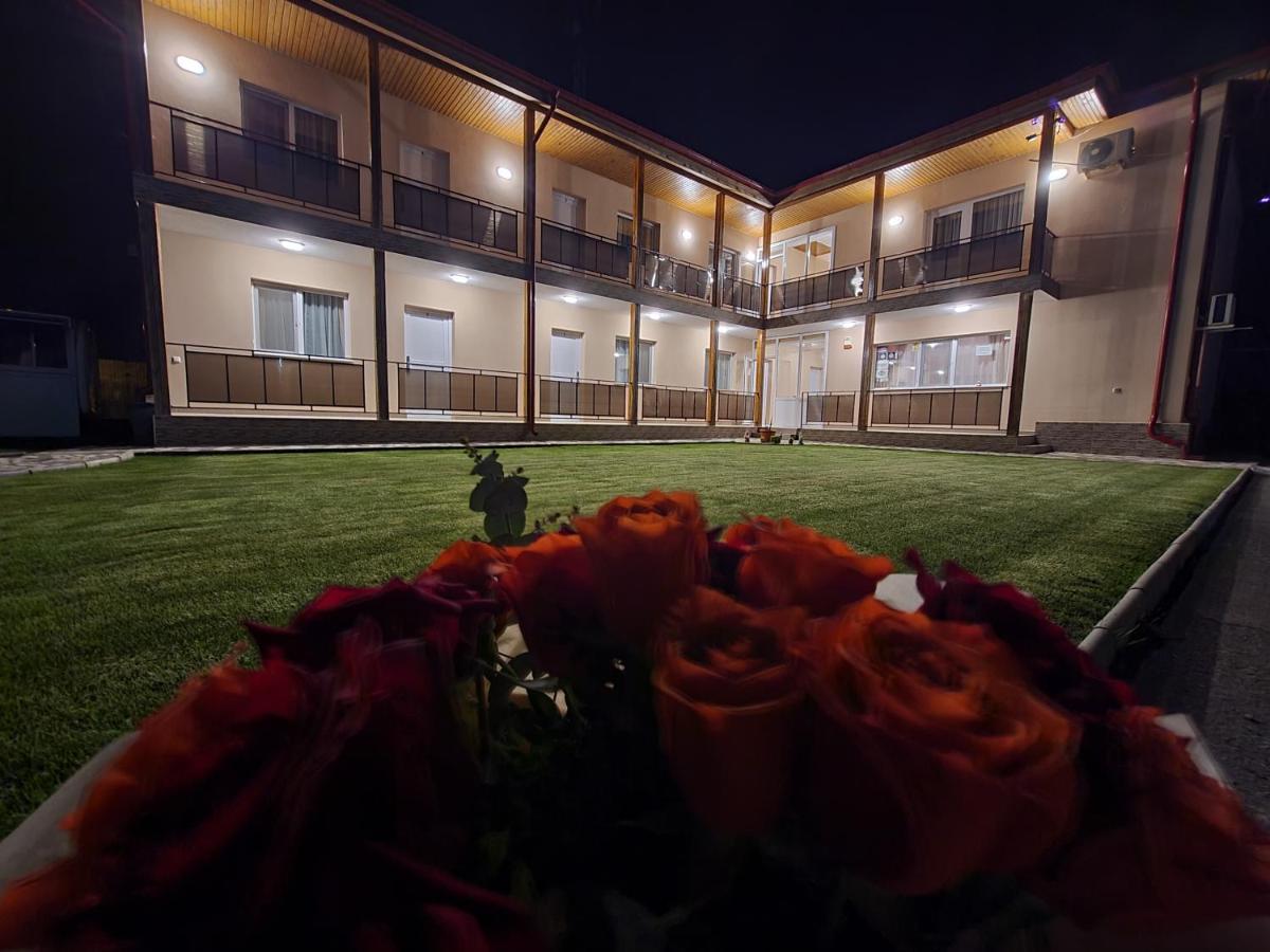 Vila Sophia Vama Veche Exteriör bild